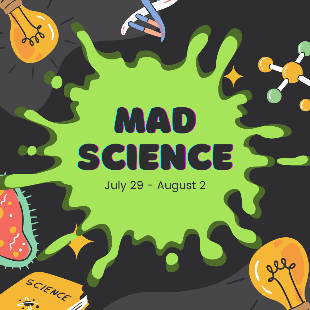 Session 10:  MAD SCIENCE