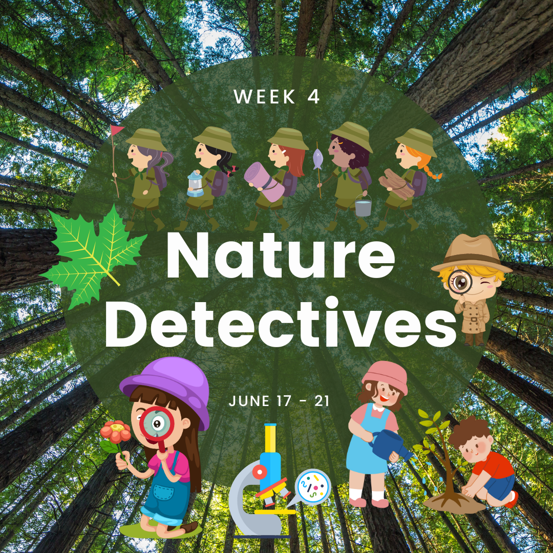 Session 4:  Nature Detectives
