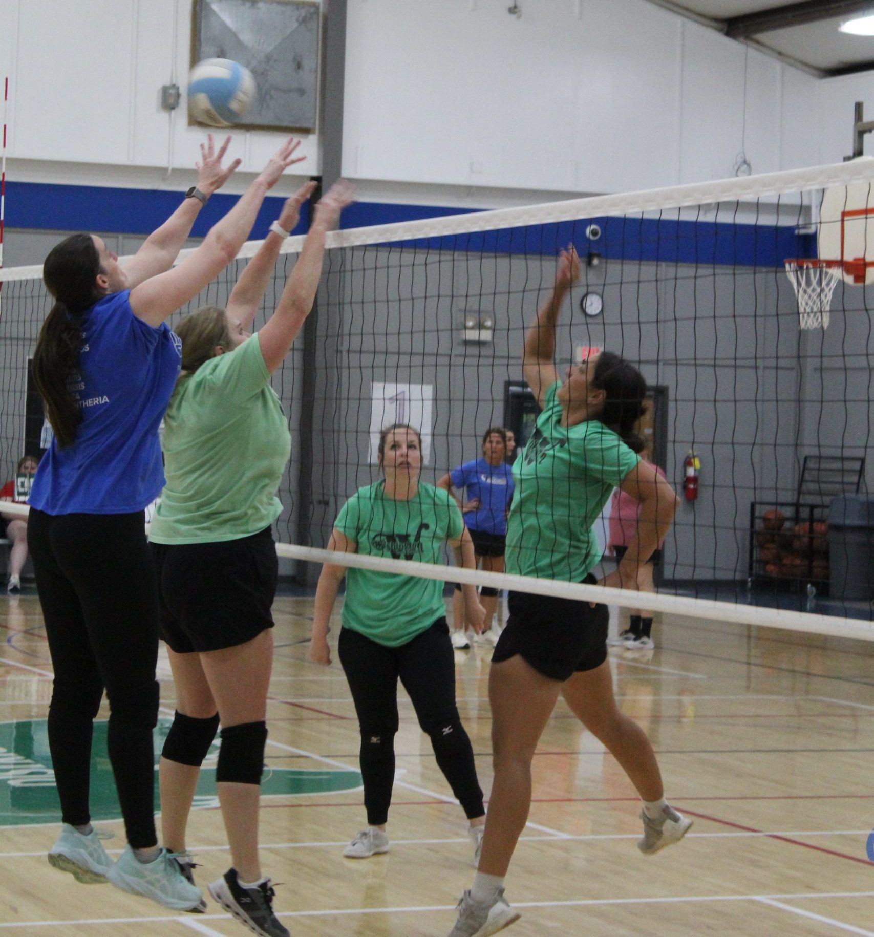 Women's Volleyball 
